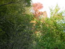 DSCN9902
