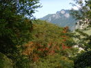 DSCN9903