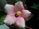 IMG_20141008_120413