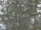 DSC08050
