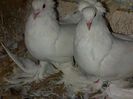IMG-20140810-00717