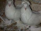 IMG-20140810-00718