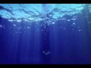 images (6)