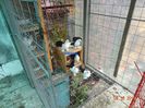 DSC02666