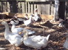 CAM02062
