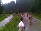 IMG_20140921_161421