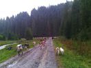 IMG_20140921_161439