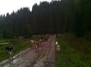 IMG_20140921_161447