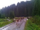 IMG_20140921_161458
