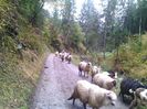 IMG_20141003_101309