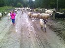 IMG_20141003_103737