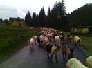 IMG_20141003_105639