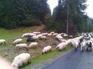 IMG_20141003_110618