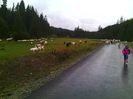 IMG_20141003_111407