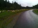 IMG_20141003_111427