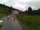 IMG_20141003_112048