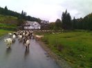 IMG_20141003_112053