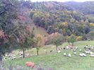 IMG_20141003_135851