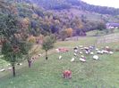 IMG_20141003_135908