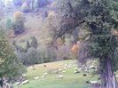 IMG_20141003_135914