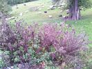 IMG_20141003_135920