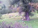 IMG_20141003_135927