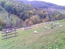 IMG_20141003_140258