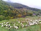 IMG_20141003_141551
