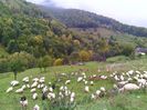 IMG_20141003_141557