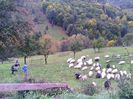 IMG_20141003_141601