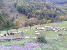IMG_20141003_141904