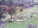 IMG_20141003_142126