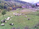 IMG_20141003_142132