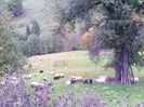 IMG_20141003_142138