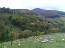 IMG_20141003_164750
