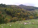 IMG_20141003_164756