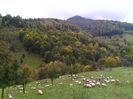 IMG_20141003_164759