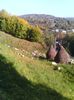 IMG_20141006_100031