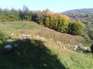 IMG_20141006_100040