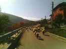 IMG_20141006_113028
