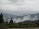P9050093