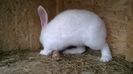 WP_20141011_011
