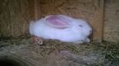 WP_20141011_015