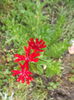DSCF3041