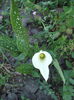 DSCF3026