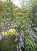 DSCN8765