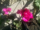 IMG_20141011_111723
