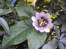 DSC04485