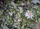 DSC04490