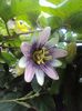 DSC04496